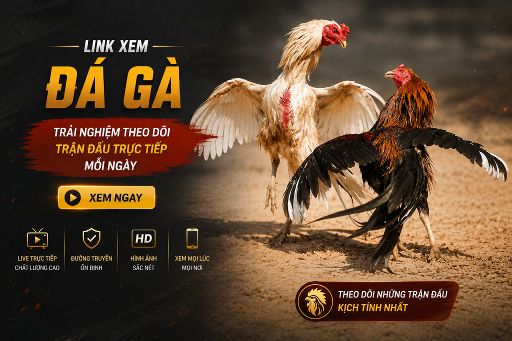 Link Xem Đá Gà